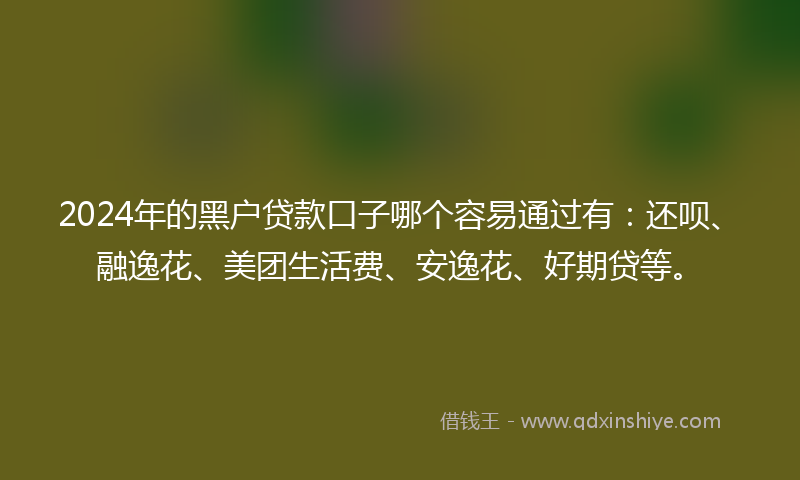 2024年的黑户贷款口子哪个容易通过有：还呗、融逸花、美团生活费、安逸花、好期贷等。