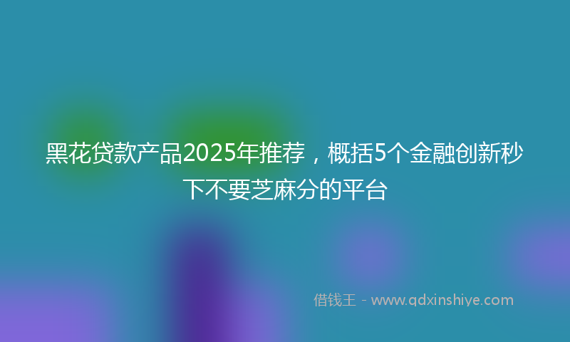 黑花贷款产品2025年推荐，概括5个金融创新秒下不要芝麻分的平台