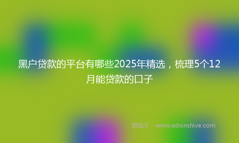 黑户贷款的平台有哪些2025年精选，梳理5个12月能贷款的口子