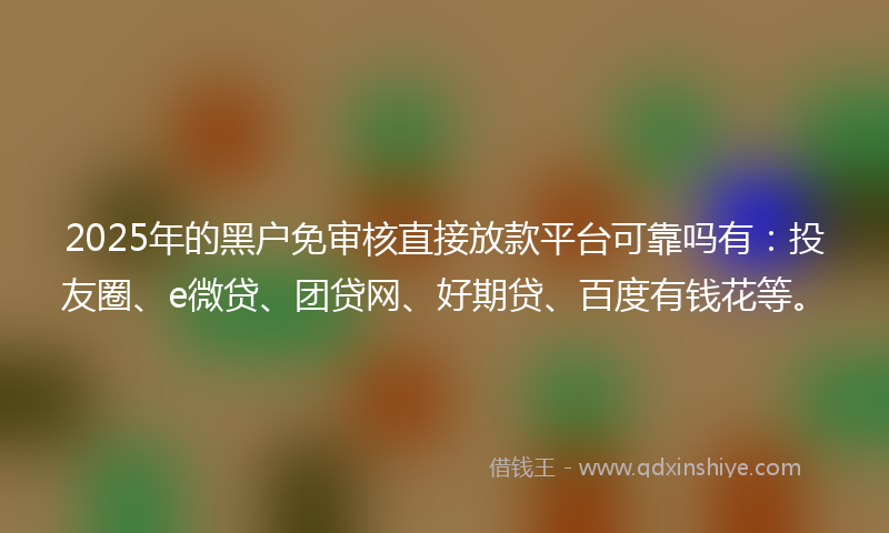 2025年的黑户免审核直接放款平台可靠吗有：投友圈、e微贷、团贷网、好期贷、百度有钱花等。