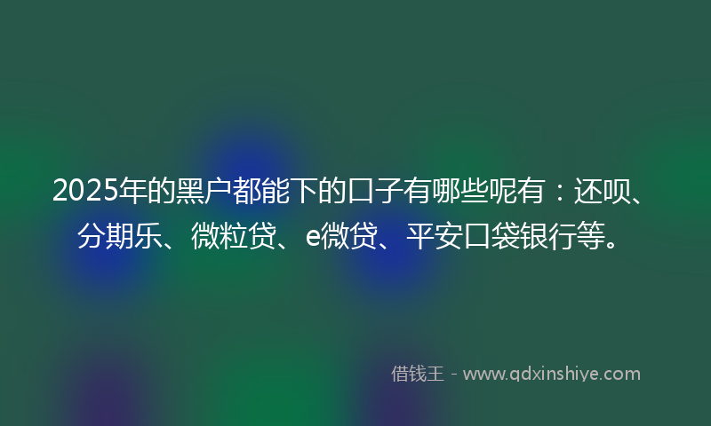 2025年的黑户都能下的口子有哪些呢有：还呗、分期乐、微粒贷、e微贷、平安口袋银行等。