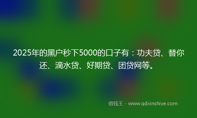 2025年的黑户秒下5000的口子有：功夫贷、替你还、滴水贷、好期贷、团贷网等。