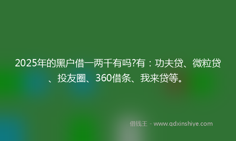 2025年的黑户借一两千有吗?有：功夫贷、微粒贷、投友圈、360借条、我来贷等。