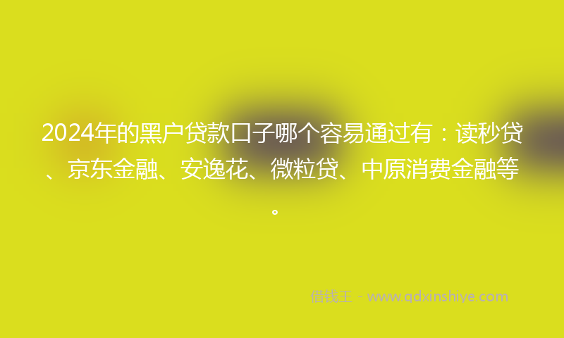 2024年的黑户贷款口子哪个容易通过有：读秒贷、京东金融、安逸花、微粒贷、中原消费金融等。