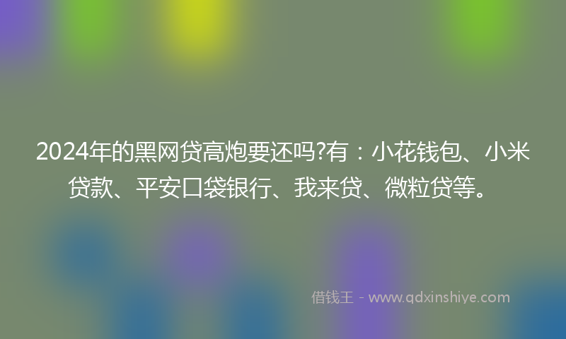 2024年的黑网贷高炮要还吗?有：小花钱包、小米贷款、平安口袋银行、我来贷、微粒贷等。