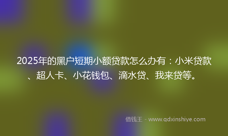 2025年的黑户短期小额贷款怎么办有：小米贷款、超人卡、小花钱包、滴水贷、我来贷等。