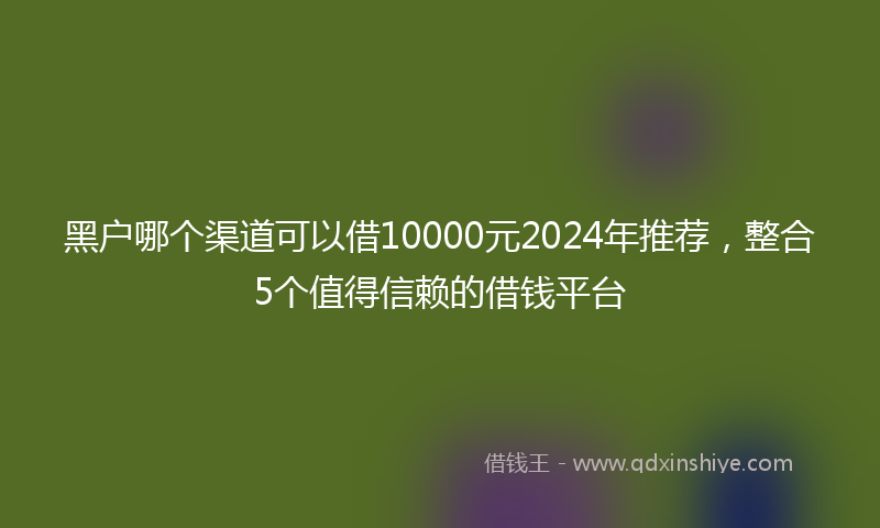 黑户哪个渠道可以借10000元2024年推荐，整合5个值得信赖的借钱平台