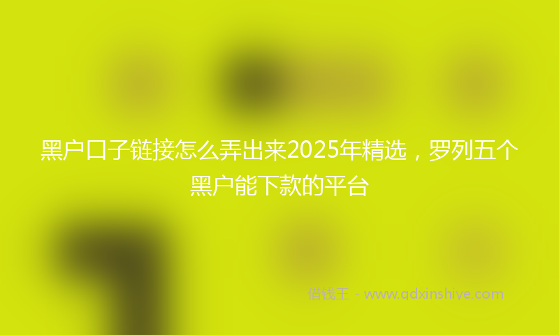 黑户口子链接怎么弄出来2025年精选，罗列五个黑户能下款的平台