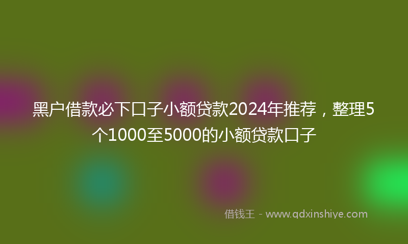 黑户借款必下口子小额贷款2024年推荐，整理5个1000至5000的小额贷款口子