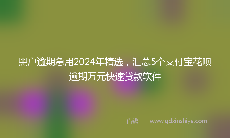 黑户逾期急用2024年精选，汇总5个支付宝花呗逾期万元快速贷款软件