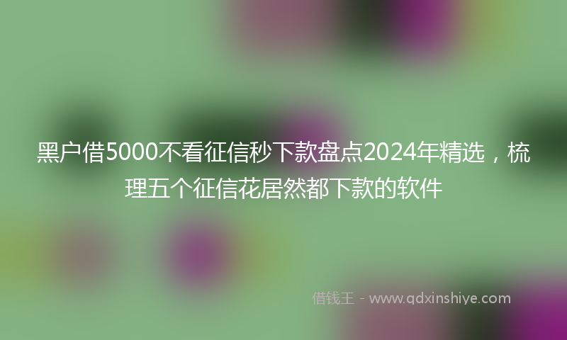 黑户借5000不看征信秒下款盘点2024年精选，梳理五个征信花居然都下款的软件
