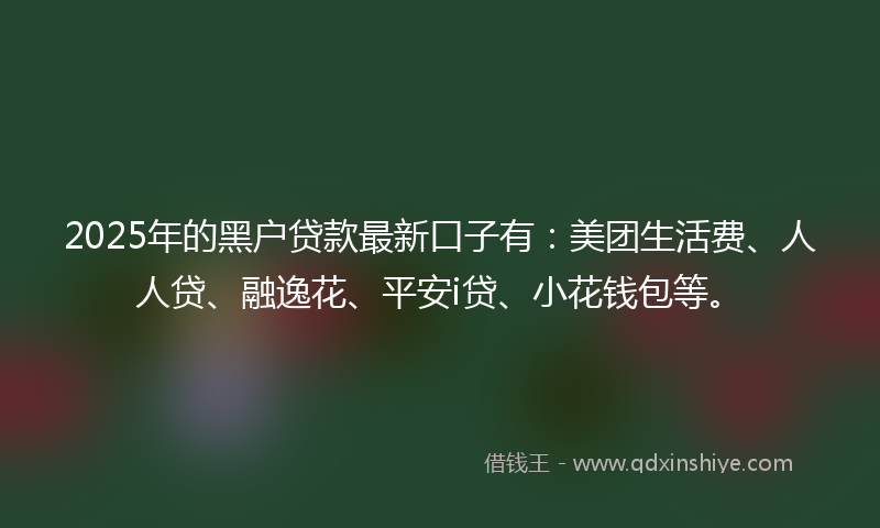 2025年的黑户贷款最新口子有：美团生活费、人人贷、融逸花、平安i贷、小花钱包等。