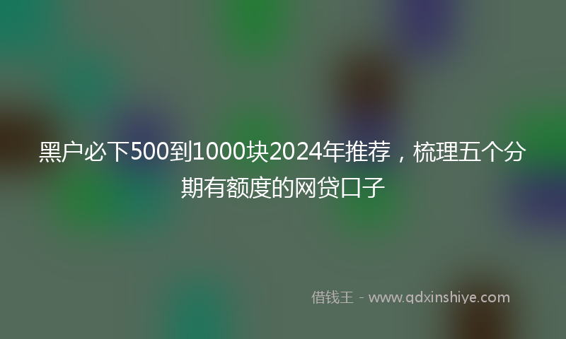 黑户必下500到1000块2024年推荐，梳理五个分期有额度的网贷口子