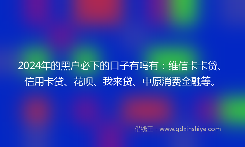 2024年的黑户必下的口子有吗有：维信卡卡贷、信用卡贷、花呗、我来贷、中原消费金融等。