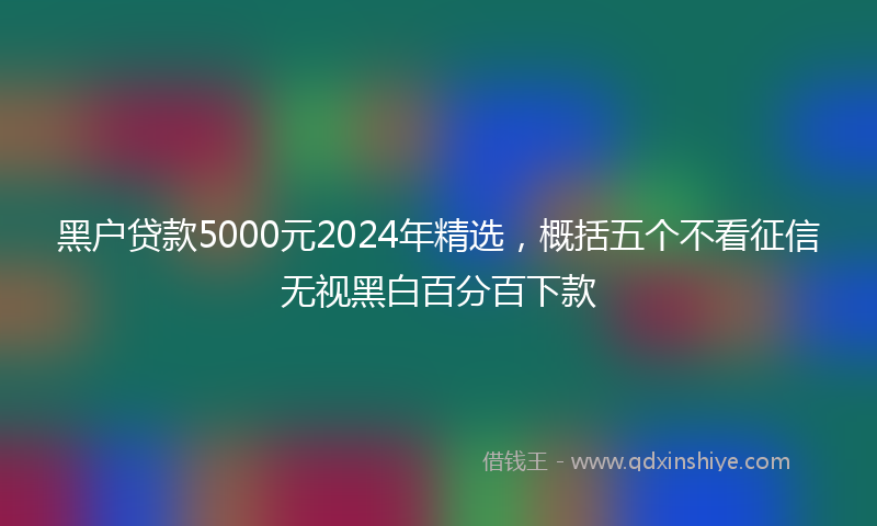 黑户贷款5000元2024年精选，概括五个不看征信无视黑白百分百下款
