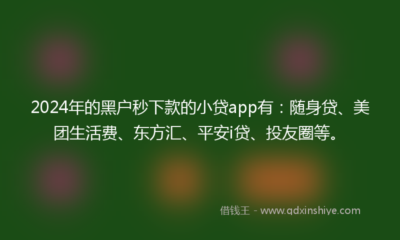 2024年的黑户秒下款的小贷app有：随身贷、美团生活费、东方汇、平安i贷、投友圈等。