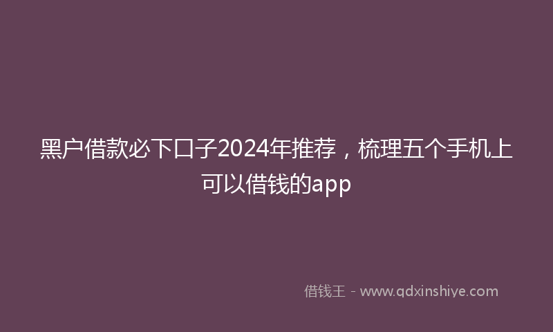 黑户借款必下口子2024年推荐，梳理五个手机上可以借钱的app