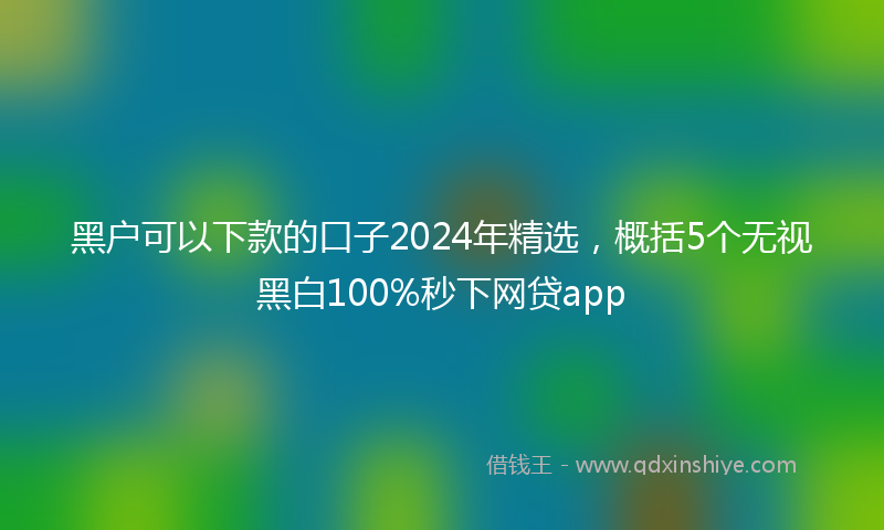 黑户可以下款的口子2024年精选，概括5个无视黑白100%秒下网贷app