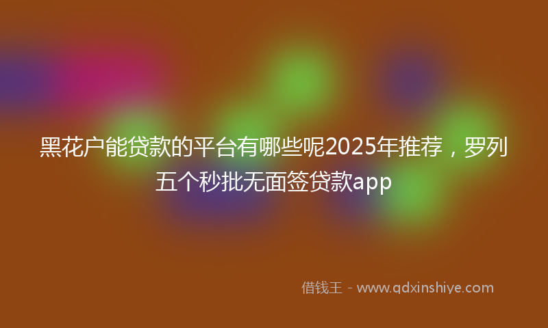 黑花户能贷款的平台有哪些呢2025年推荐，罗列五个秒批无面签贷款app