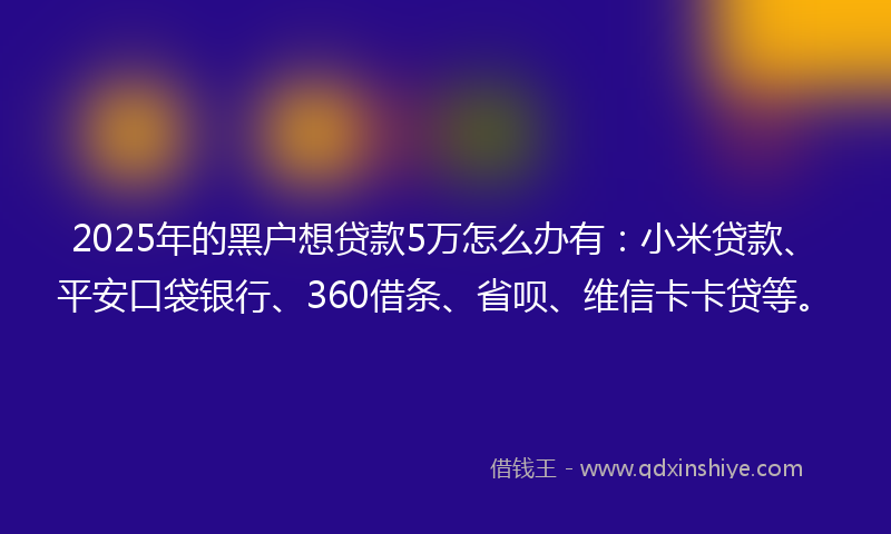 2025年的黑户想贷款5万怎么办有：小米贷款、平安口袋银行、360借条、省呗、维信卡卡贷等。