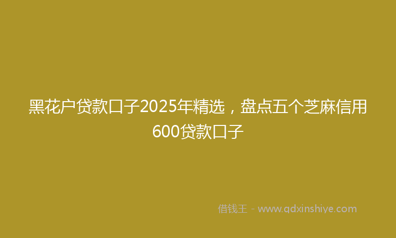 黑花户贷款口子2025年精选，盘点五个芝麻信用600贷款口子
