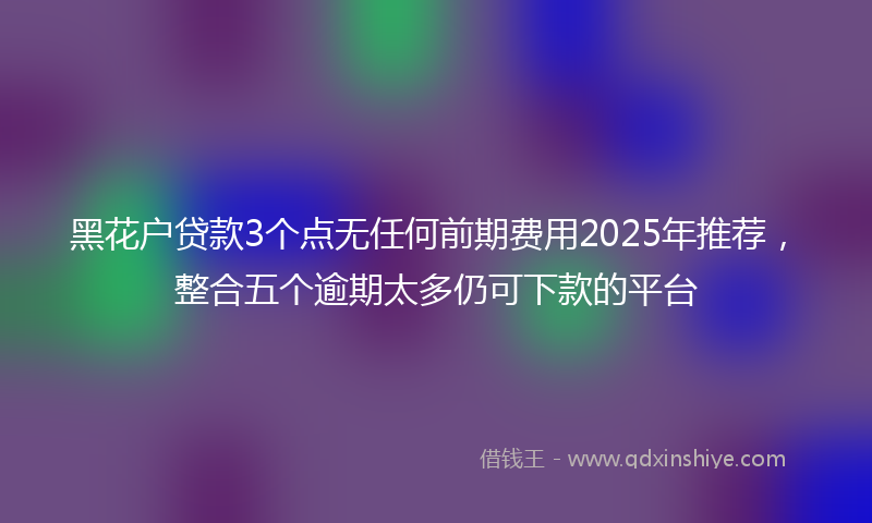 黑花户贷款3个点无任何前期费用2025年推荐，整合五个逾期太多仍可下款的平台