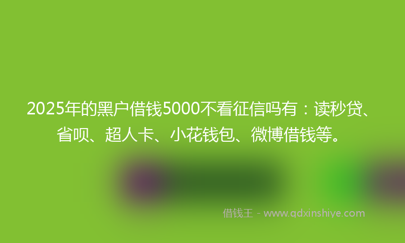 2025年的黑户借钱5000不看征信吗有：读秒贷、省呗、超人卡、小花钱包、微博借钱等。
