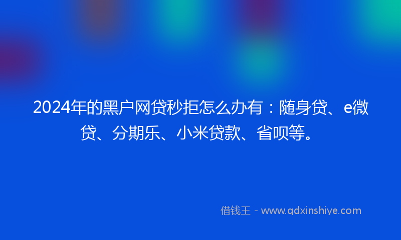 2024年的黑户网贷秒拒怎么办有：随身贷、e微贷、分期乐、小米贷款、省呗等。