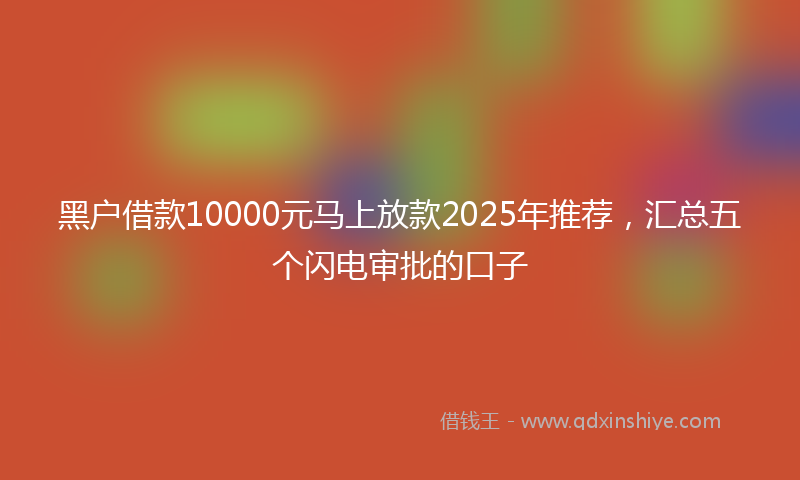 黑户借款10000元马上放款2025年推荐，汇总五个闪电审批的口子