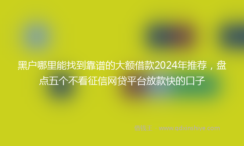 黑户哪里能找到靠谱的大额借款2024年推荐，盘点五个不看征信网贷平台放款快的口子