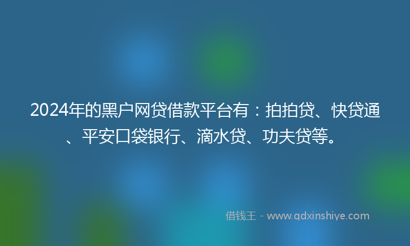 2024年的黑户网贷借款平台有：拍拍贷、快贷通、平安口袋银行、滴水贷、功夫贷等。