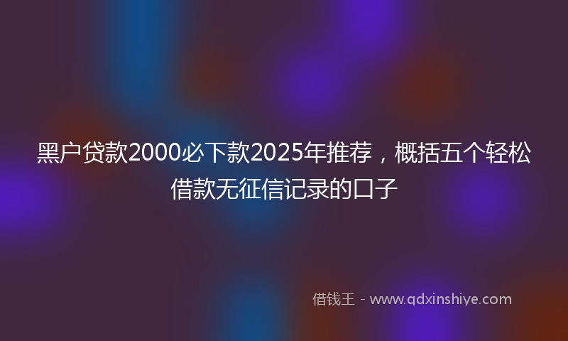 黑户贷款2000必下款2025年推荐，概括五个轻松借款无征信记录的口子