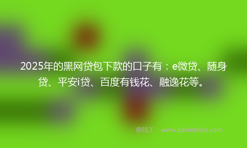 2025年的黑网贷包下款的口子有：e微贷、随身贷、平安i贷、百度有钱花、融逸花等。