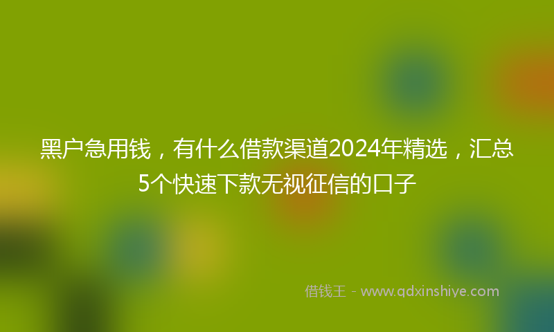 黑户急用钱，有什么借款渠道2024年精选，汇总5个快速下款无视征信的口子