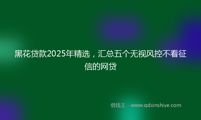 黑花贷款2025年精选，汇总五个无视风控不看征信的网贷