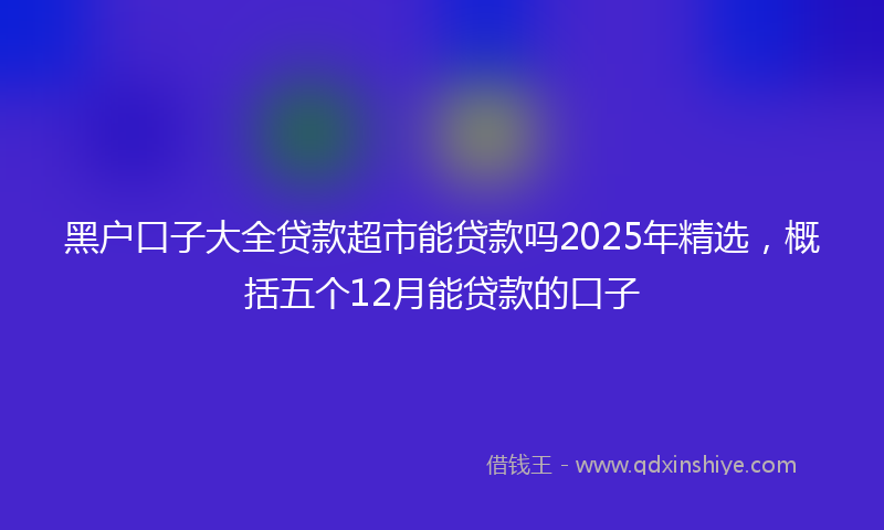黑户口子大全贷款超市能贷款吗2025年精选，概括五个12月能贷款的口子