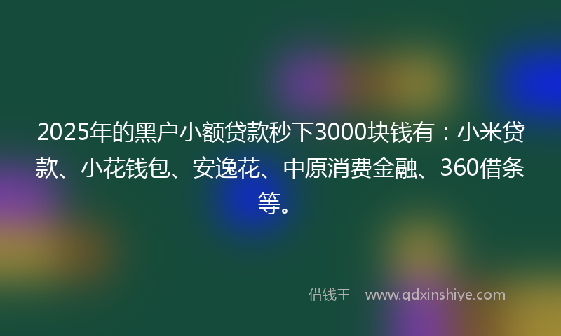 2025年的黑户小额贷款秒下3000块钱有：小米贷款、小花钱包、安逸花、中原消费金融、360借条等。