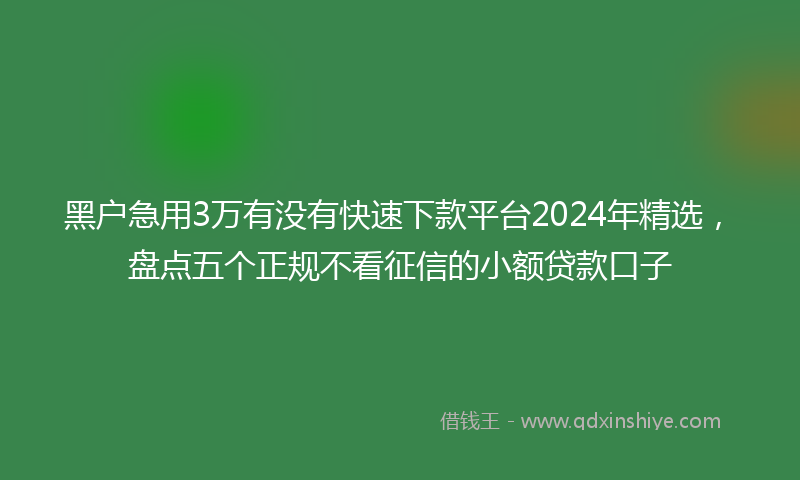 黑户急用3万有没有快速下款平台2024年精选,盘点五个正规不看征信的小额贷款口子