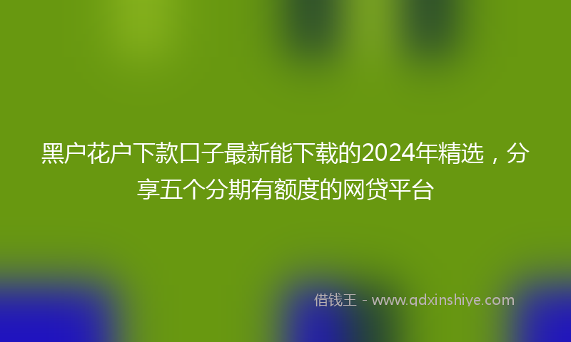 黑户花户下款口子最新能下载的2024年精选，分享五个分期有额度的网贷平台