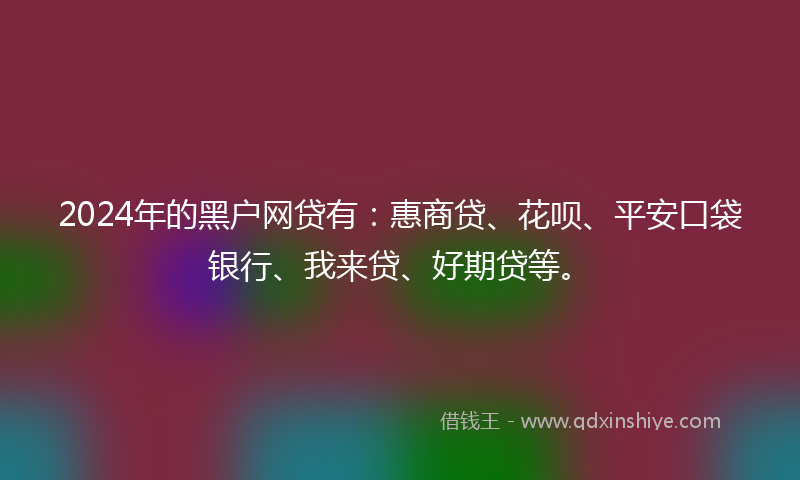 2024年的黑户网贷有：惠商贷、花呗、平安口袋银行、我来贷、好期贷等。