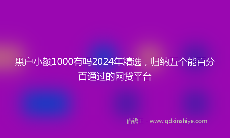 黑户小额1000有吗2024年精选，归纳五个能百分百通过的网贷平台