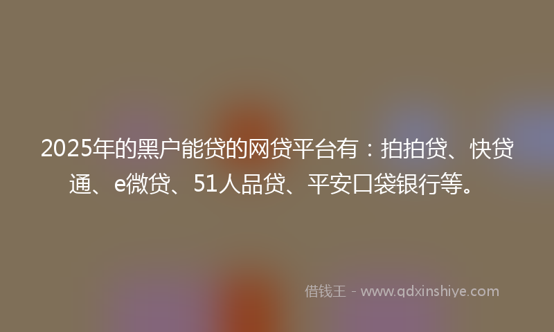 2025年的黑户能贷的网贷平台有：拍拍贷、快贷通、e微贷、51人品贷、平安口袋银行等。