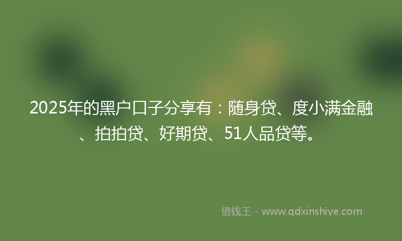 2025年的黑户口子分享有：随身贷、度小满金融、拍拍贷、好期贷、51人品贷等。