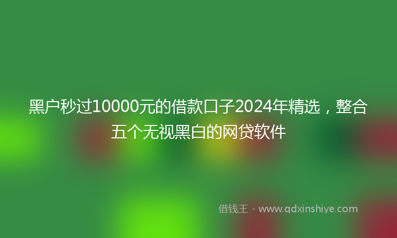 黑户秒过10000元的借款口子2024年精选，整合五个无视黑白的网贷软件
