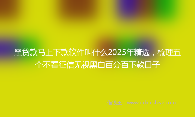 黑贷款马上下款软件叫什么2025年精选，梳理五个不看征信无视黑白百分百下款口子