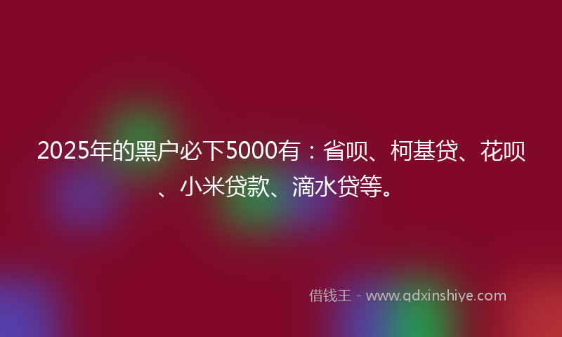 2025年的黑户必下5000有：省呗、柯基贷、花呗、小米贷款、滴水贷等。