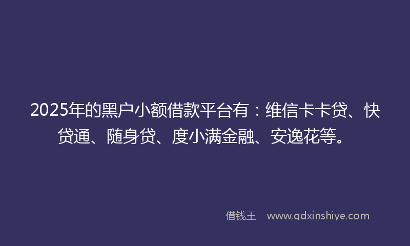 2025年的黑户小额借款平台有：维信卡卡贷、快贷通、随身贷、度小满金融、安逸花等。