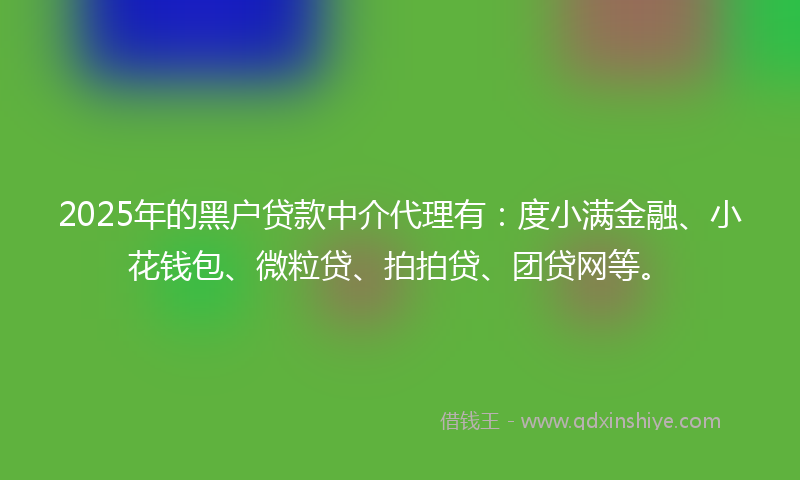2025年的黑户贷款中介代理有：度小满金融、小花钱包、微粒贷、拍拍贷、团贷网等。