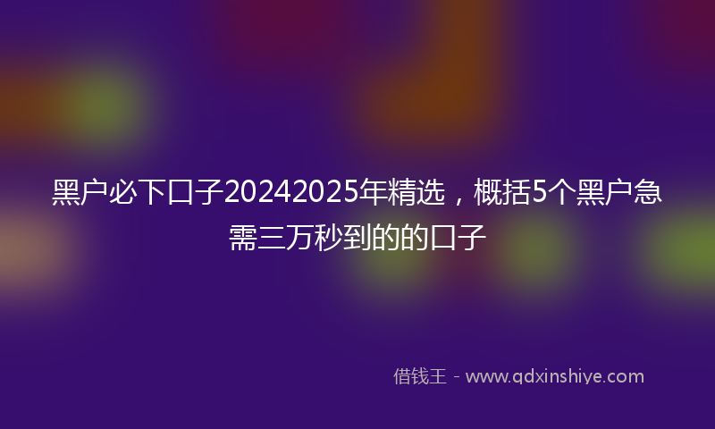 黑户必下口子20242025年精选，概括5个黑户急需三万秒到的的口子
