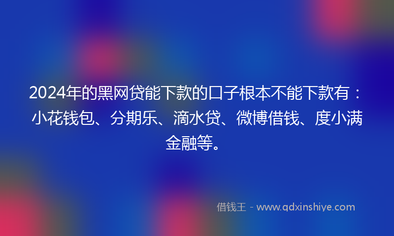 2024年的黑网贷能下款的口子根本不能下款有：小花钱包、分期乐、滴水贷、微博借钱、度小满金融等。